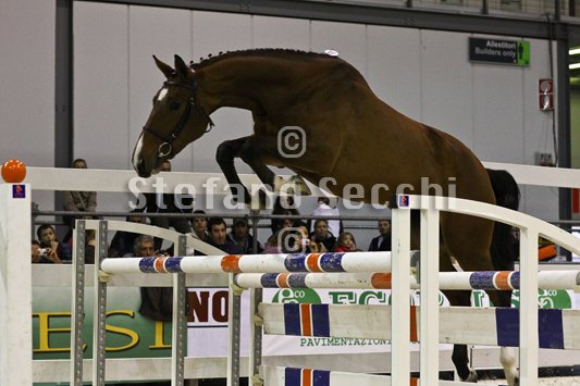 NADA BRAUN_MILANO_2010_SS3_1552.jpg